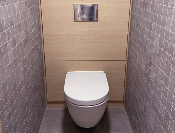 WC within the Rose Lane office washroom